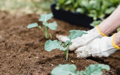 Why Do You Want To Prioritize In Your Life?