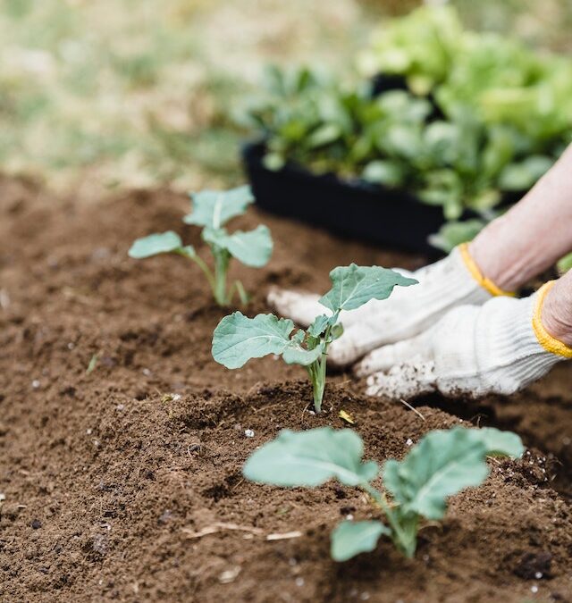 Why Do You Want To Prioritize In Your Life?