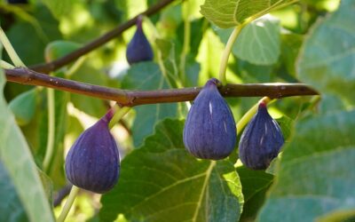 How to Make Long-Term Thinking Work For You