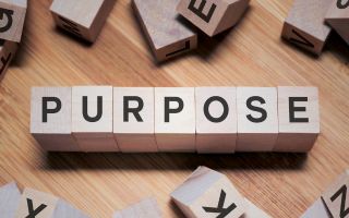 PURPOSE: 1st Mindset Shift: Focus on Purpose