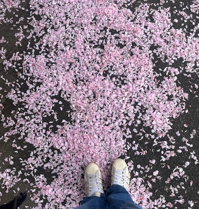 Feel More, Live Better: The Essential Guide to Emotional Words