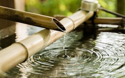 How to Fill Midlife Emptiness and Find Fulfillment