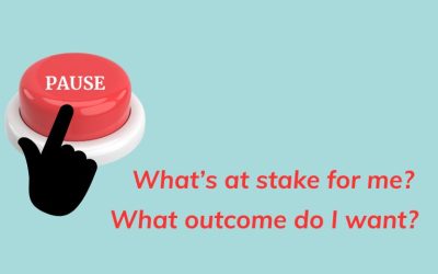 Slow Down to be Wiser: The WISER Model Explained